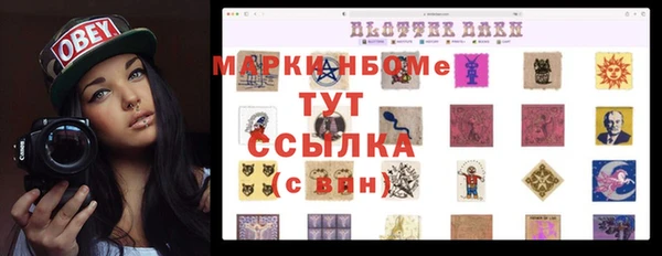 индика Зеленокумск
