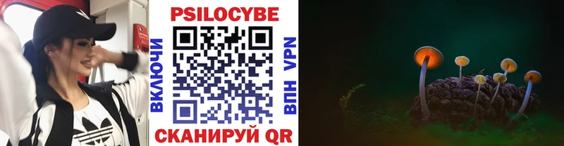 Галлюциногенные грибы Psilocybe  дарнет шоп  Харовск 
